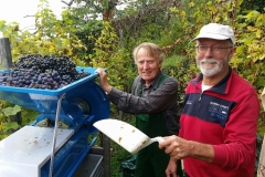 Robberg-Winzer Rolf Apell (links) beim Keltern seiner Trauben.