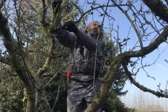 Im ersten Schritt wird ausgelichtet, um einen Überblick zu erhalten.