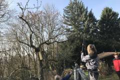 Diese Grundstruktur dient nun dem neuen Aufbau.