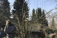 Für heute die beste Lösung, aber im nächsten Jahr ist ein Nachschnitt erforderlich.