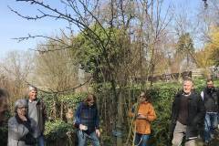 Auch Jungpflanzen müssen frühzeitig geschnitten und erzogen werden.