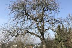 Nötig wär's, aber nur mit Gurtzeug und entsprechender Sicherung.