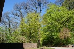 Der Frühling macht sich breit am Robberg mit einem zarten Grün.