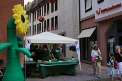 Danke an Jan Leuchtenmüller für die Sonnenblume als Blickfang.