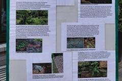 Die Themen Trockenmauer-Sanierung und Weinbau zieren den Infostand.