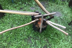 ... und allein schon deren Vielfalt generierte viele Fragen.