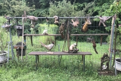 Die "Wild-Exponate" zieren die Bauzaungalerie.