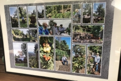 Eine Collage vom neu geschaffenen "Ort der Begegnung" an der Weggabelung.