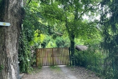 ... und am sanierten Weintor.