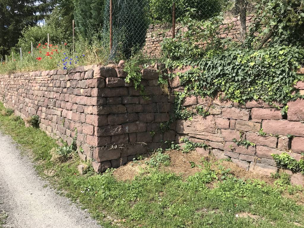 Eine vorbildlich gesetzte Trockenmauer mit freistehender Ecke.