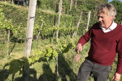 Rolf Apell erläutert die Drahtrahmen-Erziehung der Reben.