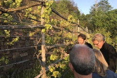 Mediterrane Reberziehung stellt Peter Schmidt vor.