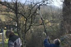 Der Wildwuchs lichtet sich.