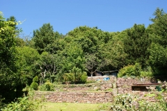 08Trockenmauern – ein prägendes Merkmal am Robberg