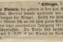 04Badischer-Landsmann-1919